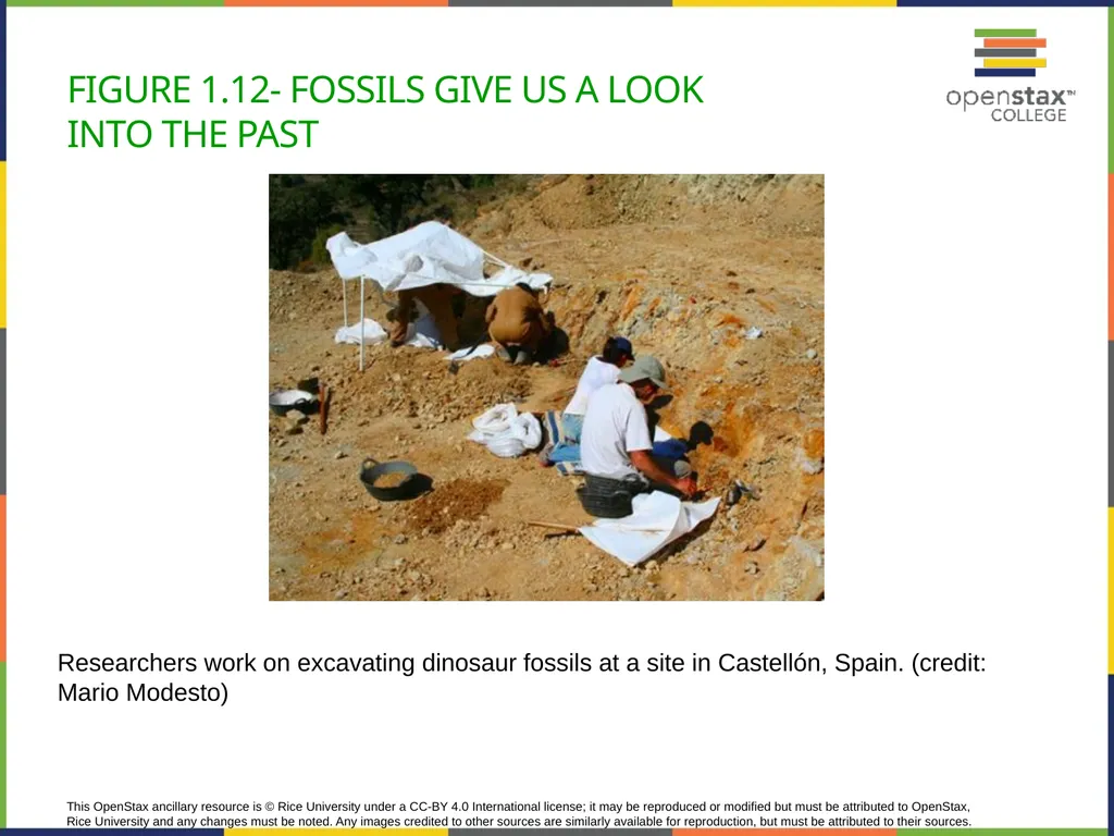 Concepts of Biology Chapter 1 INTRODUCTION TO - slide 28 of 45