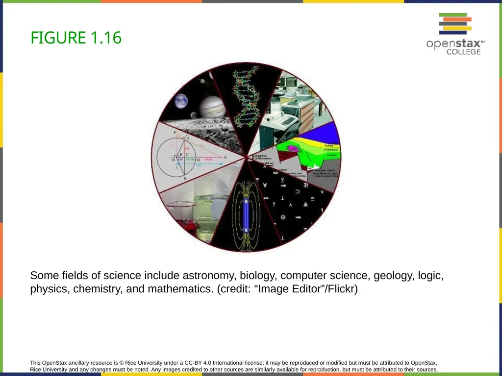 Concepts of Biology Chapter 1 INTRODUCTION TO - slide 37 of 45