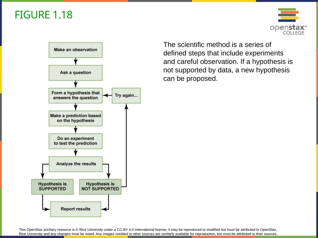 Concepts of Biology Chapter 1 INTRODUCTION TO - slide 42 of 45