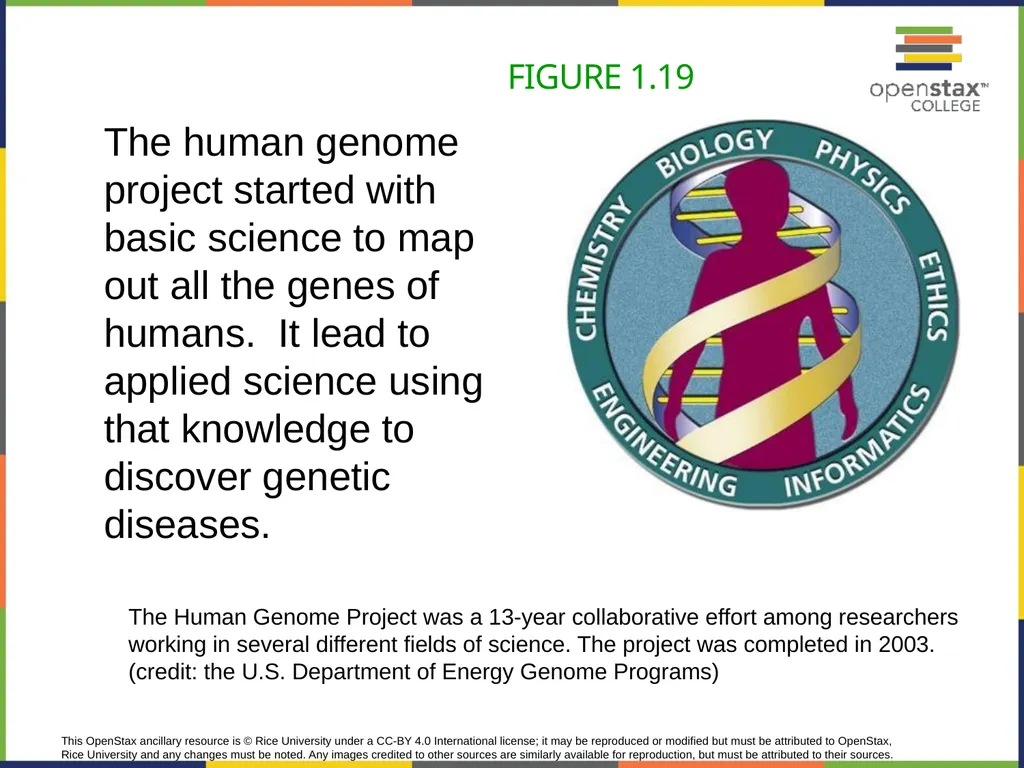 Concepts of Biology Chapter 1 INTRODUCTION TO - slide 45 of 45