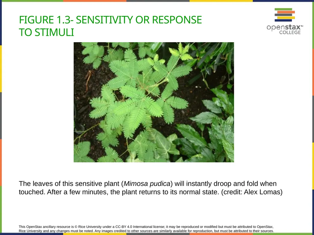 Concepts of Biology Chapter 1 INTRODUCTION TO - slide 7 of 45
