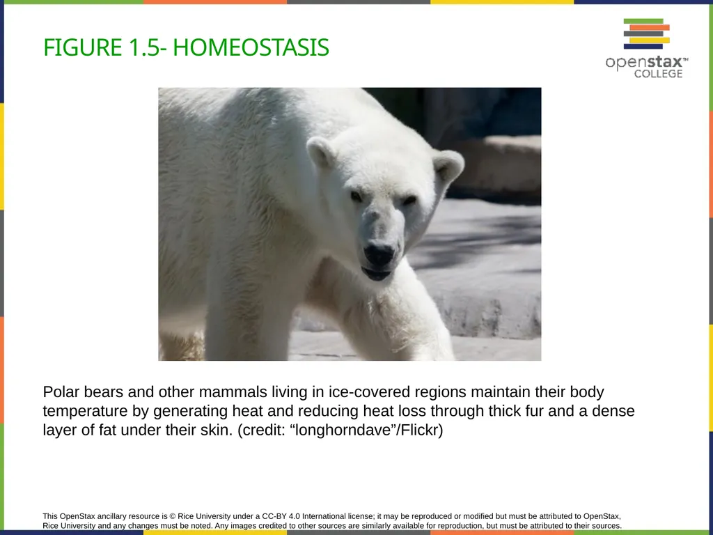 Concepts of Biology Chapter 1 INTRODUCTION TO - slide 10 of 45