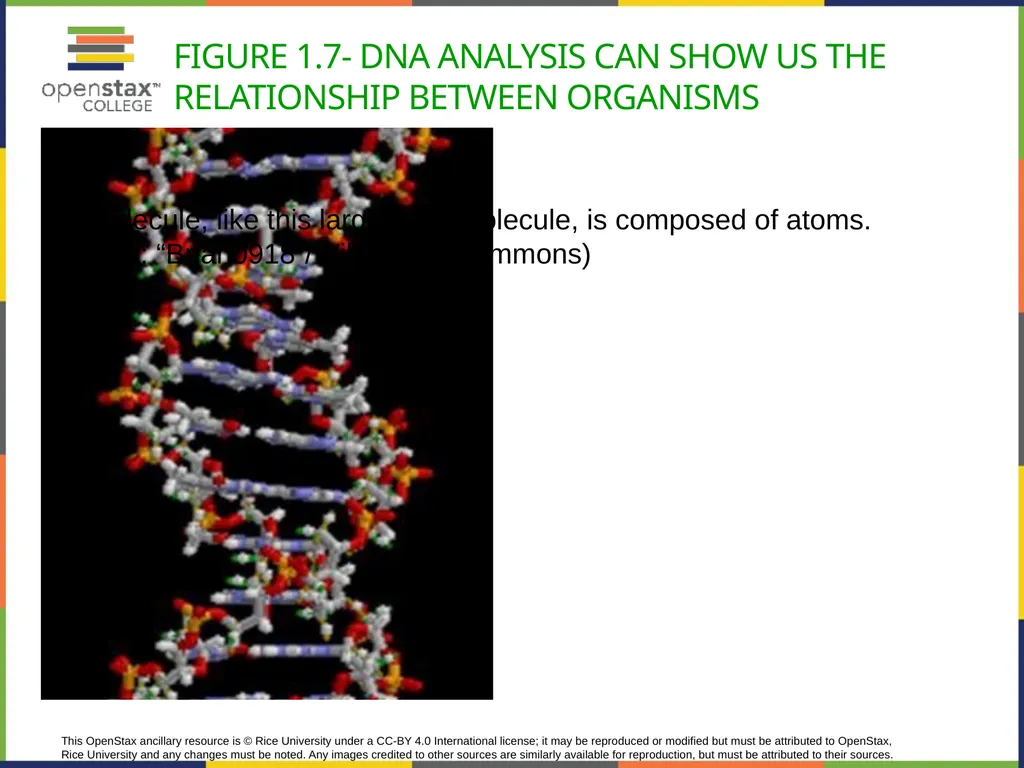 Concepts of Biology Chapter 1 INTRODUCTION TO - slide 26 of 45