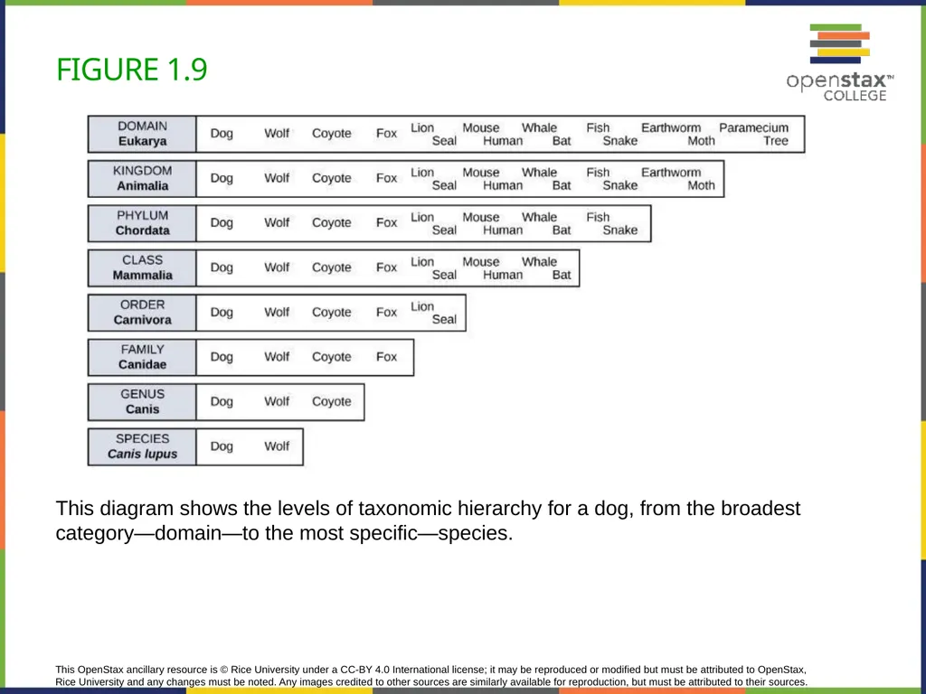 Concepts of Biology Chapter 1 INTRODUCTION TO - slide 20 of 45
