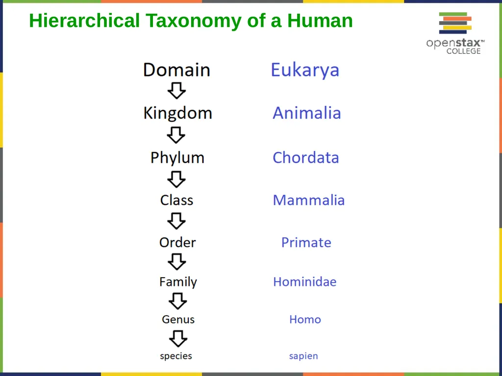 Concepts of Biology Chapter 1 INTRODUCTION TO - slide 23 of 45
