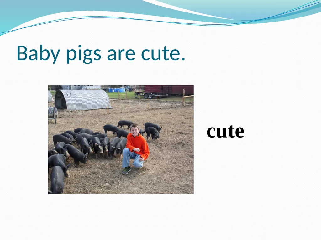 Predicate Nominatives and Predicate Adjectives So - slide 10 of 13
