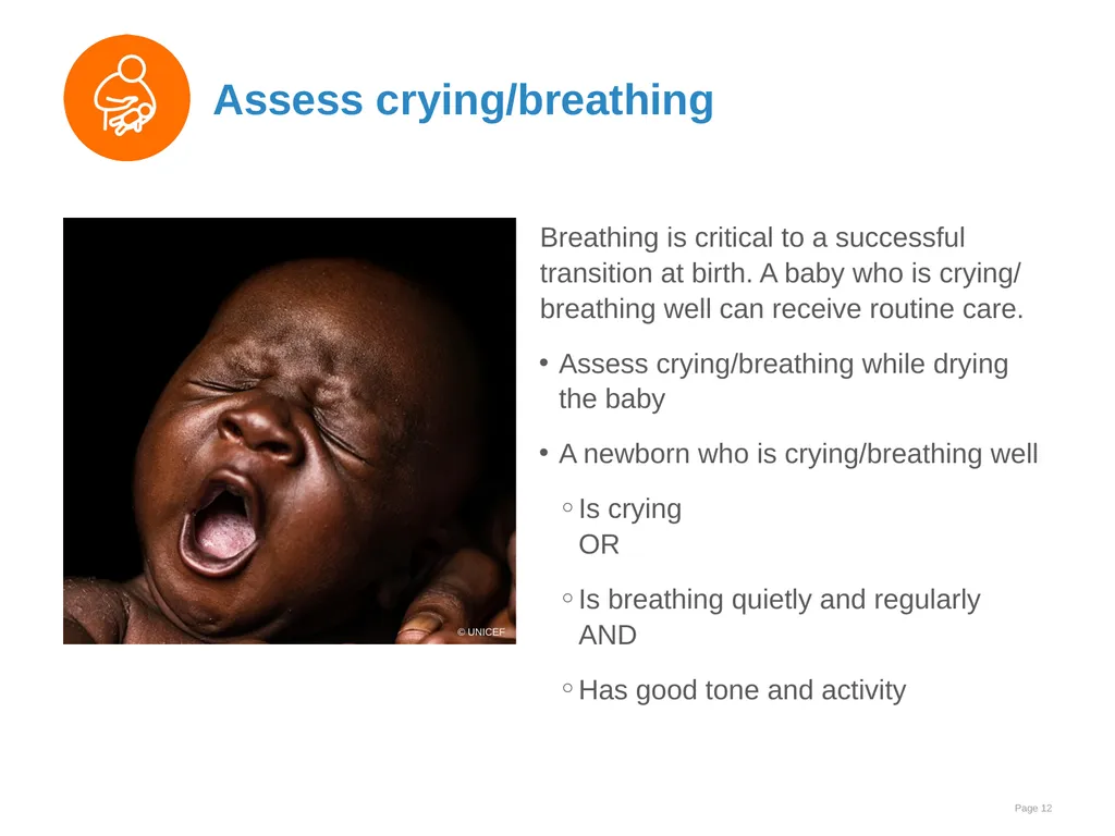 Immediate care at birth Goal and learning outcomes - slide 12 of 41