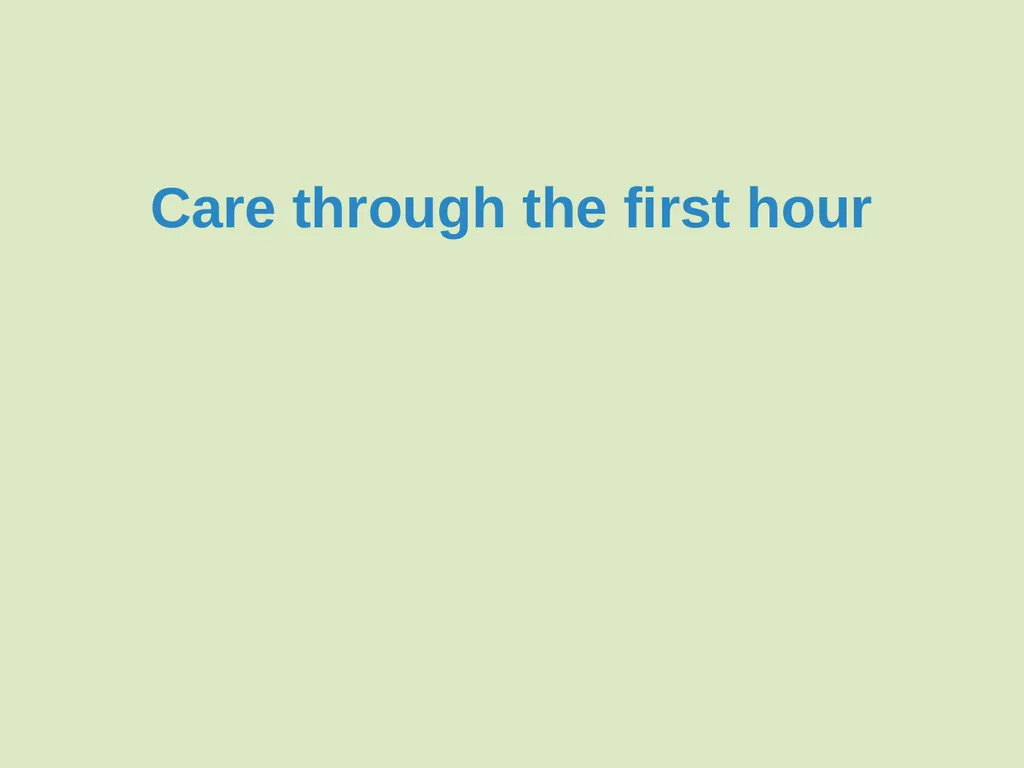 Immediate care at birth Goal and learning outcomes - slide 20 of 41
