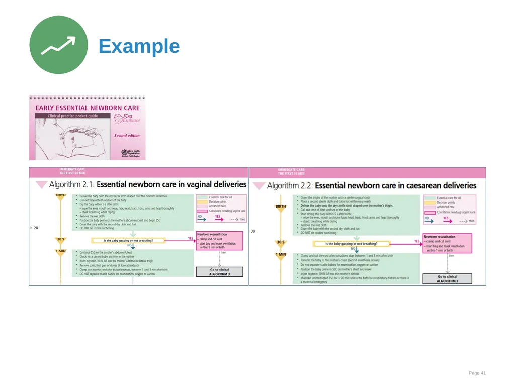 Immediate care at birth Goal and learning outcomes - slide 41 of 41
