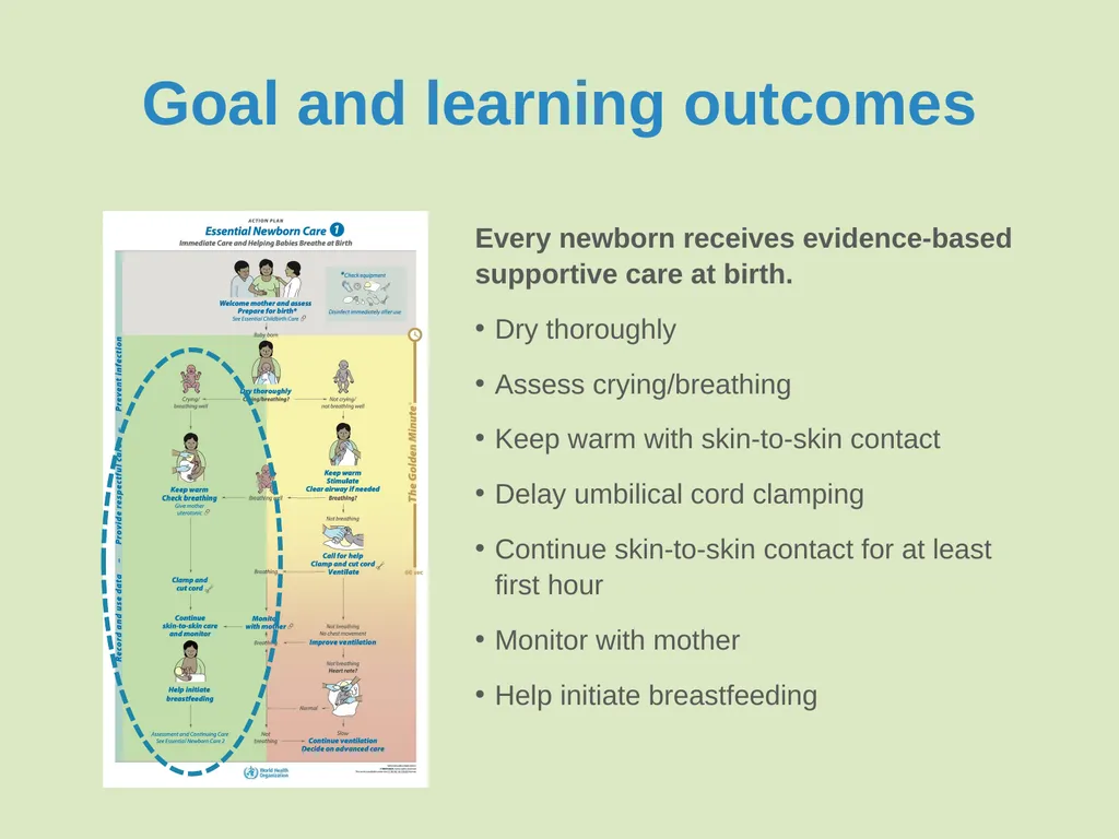 Immediate care at birth Goal and learning outcomes - slide 3 of 41