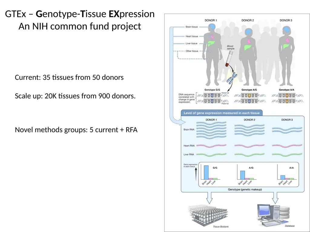 Lecture 16 Regulatory variation and eQTLs Chris - slide 57 of 59