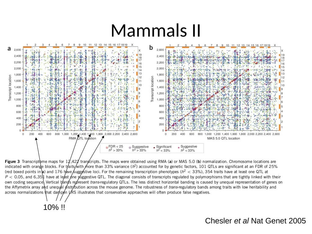 Lecture 16 Regulatory variation and eQTLs Chris - slide 21 of 59