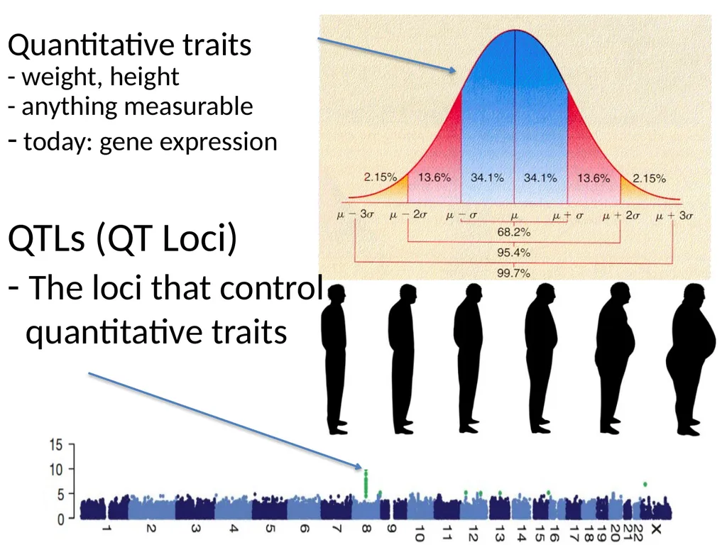 Lecture 16 Regulatory variation and eQTLs Chris - slide 5 of 59