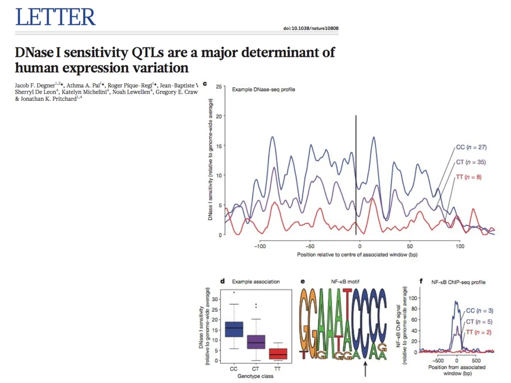 Lecture 16 Regulatory variation and eQTLs Chris - slide 14 of 59