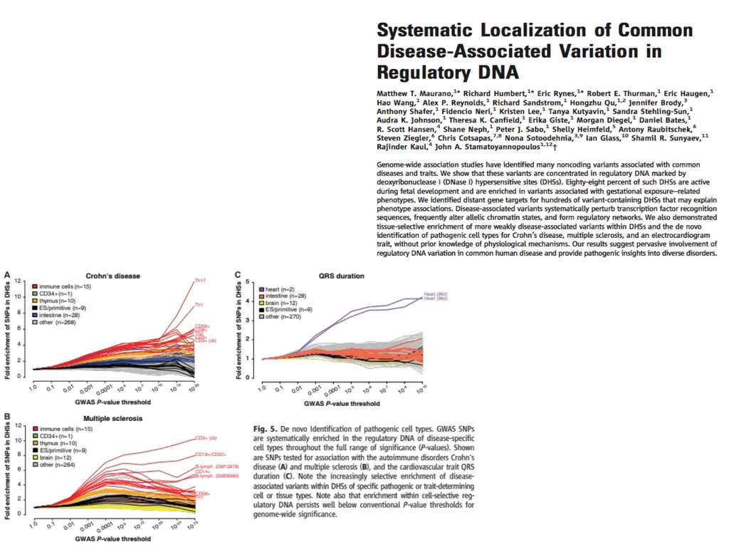 Lecture 16 Regulatory variation and eQTLs Chris - slide 15 of 59