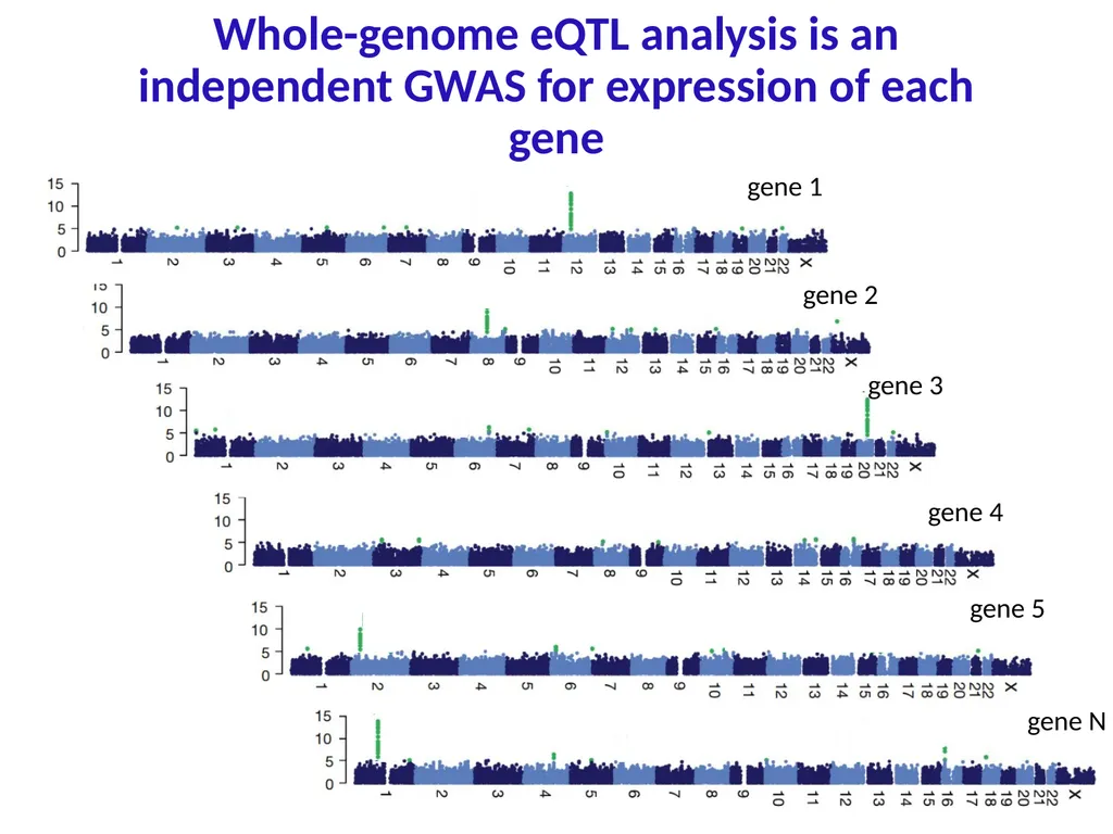 Lecture 16 Regulatory variation and eQTLs Chris - slide 11 of 59