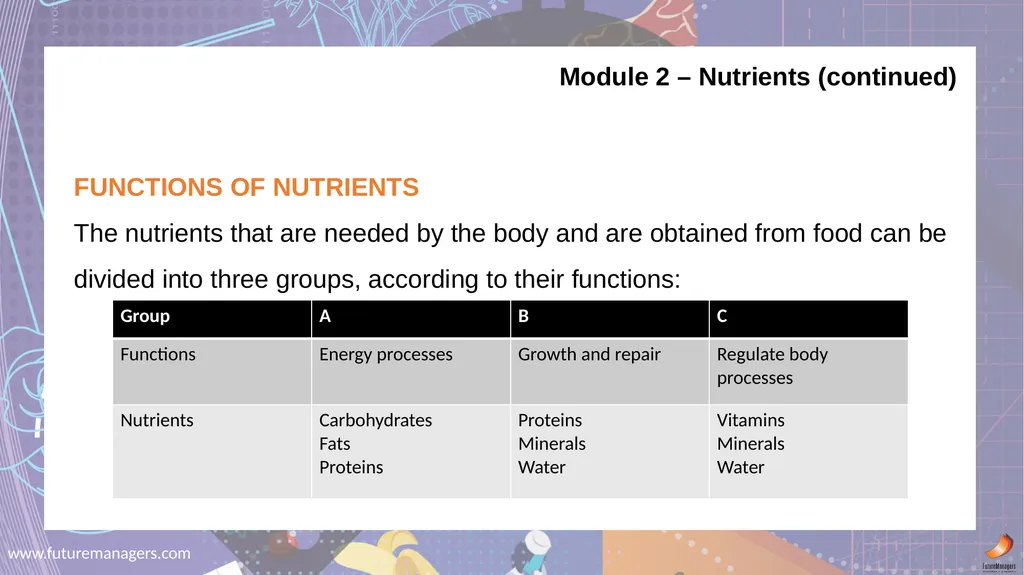 Nutrition and Menu Planning N4 - slide 4 of 38