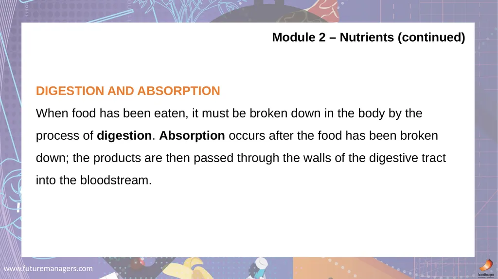 Nutrition and Menu Planning N4 - slide 6 of 38