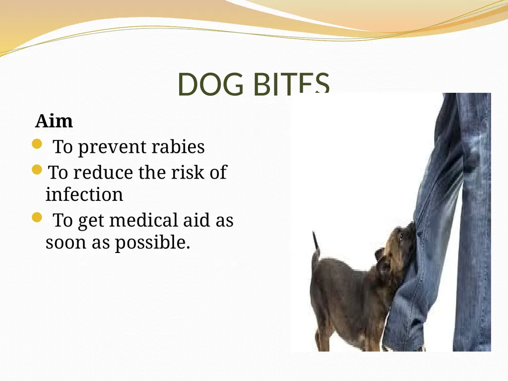 BASIC FIRST AID Submitted by, Department of - slide 42 of 55