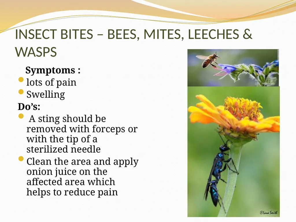 BASIC FIRST AID Submitted by, Department of - slide 44 of 55