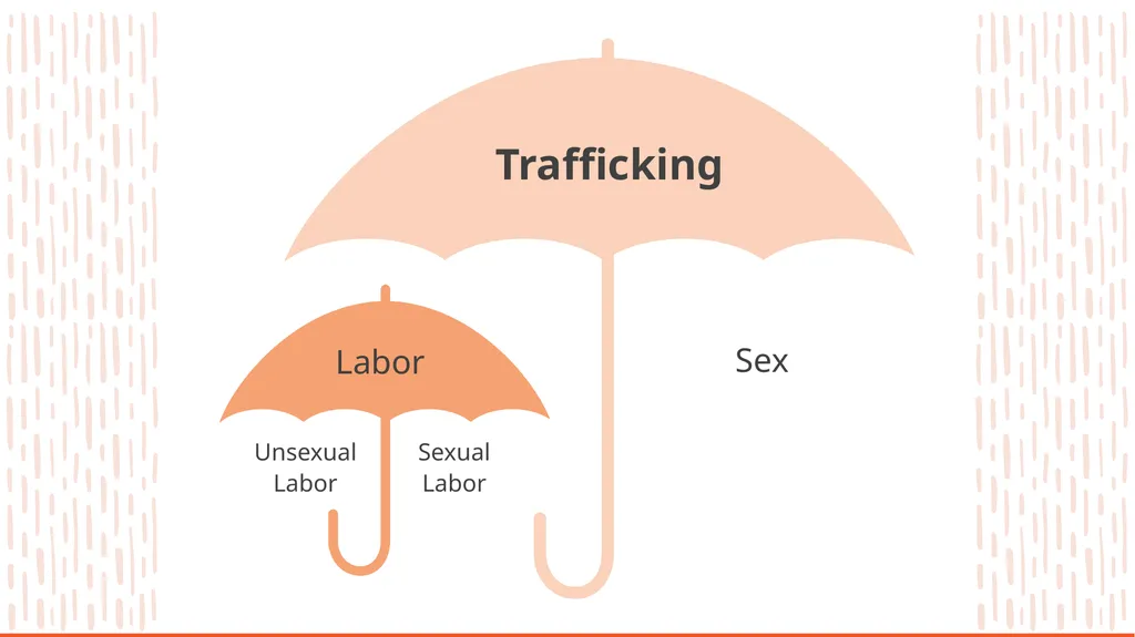 Human Trafficking Identification and Response in - slide 24 of 77