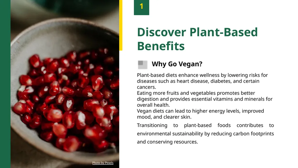 Delicious Plant-Based Palate Transform Your Meals - slide 3 of 7