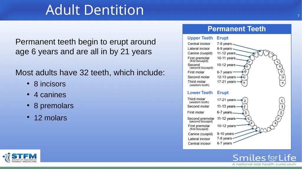 Fourth Edition 2020 - slide 7 of 46