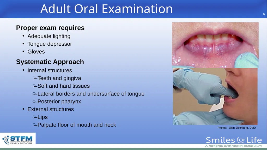 Fourth Edition 2020 - slide 6 of 46