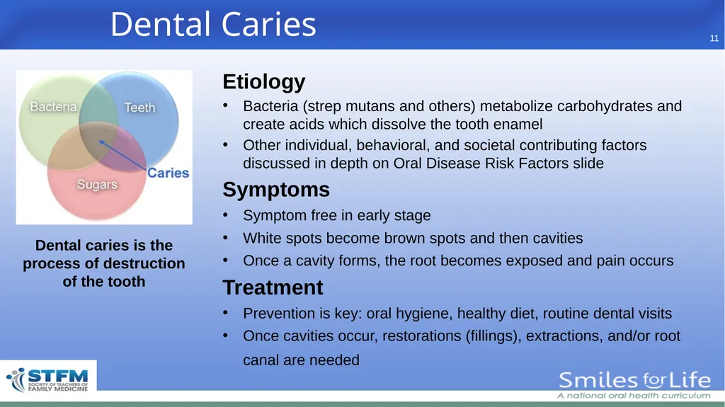 Fourth Edition 2020 - slide 11 of 46