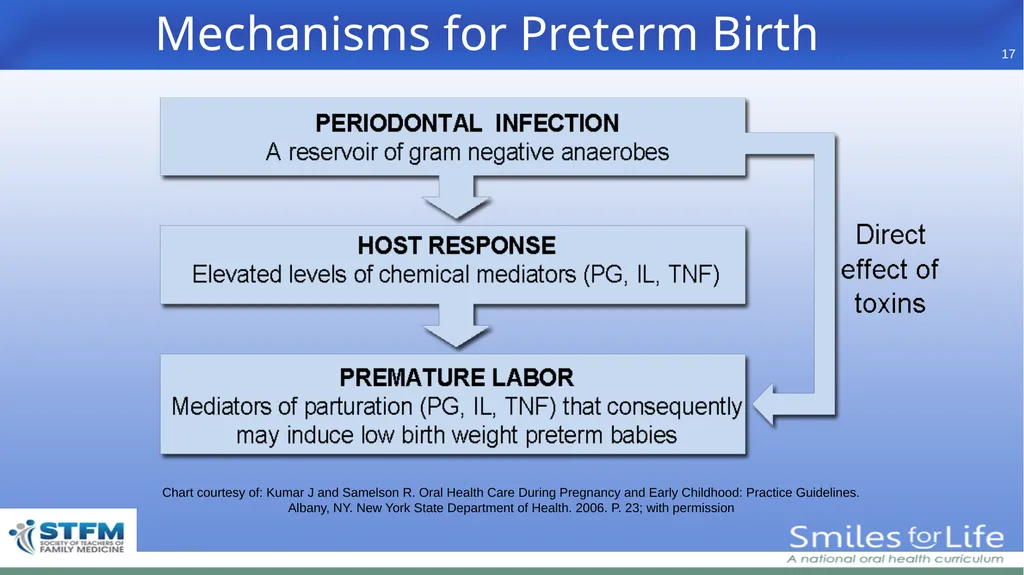 Fourth Edition 2020 - slide 17 of 46