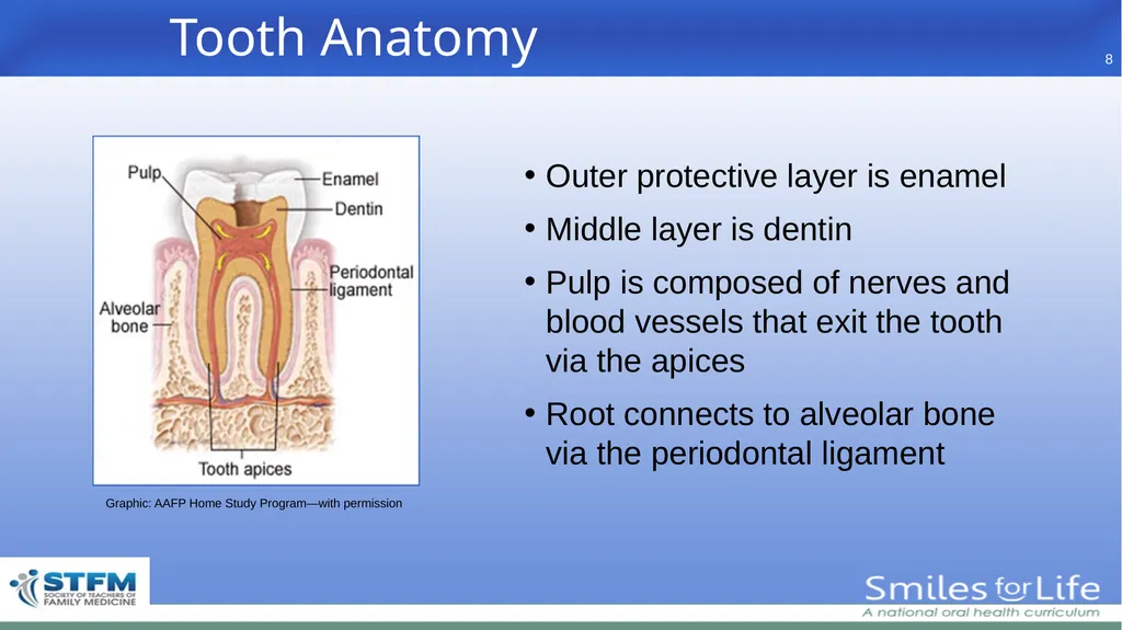 Fourth Edition 2020 - slide 8 of 46