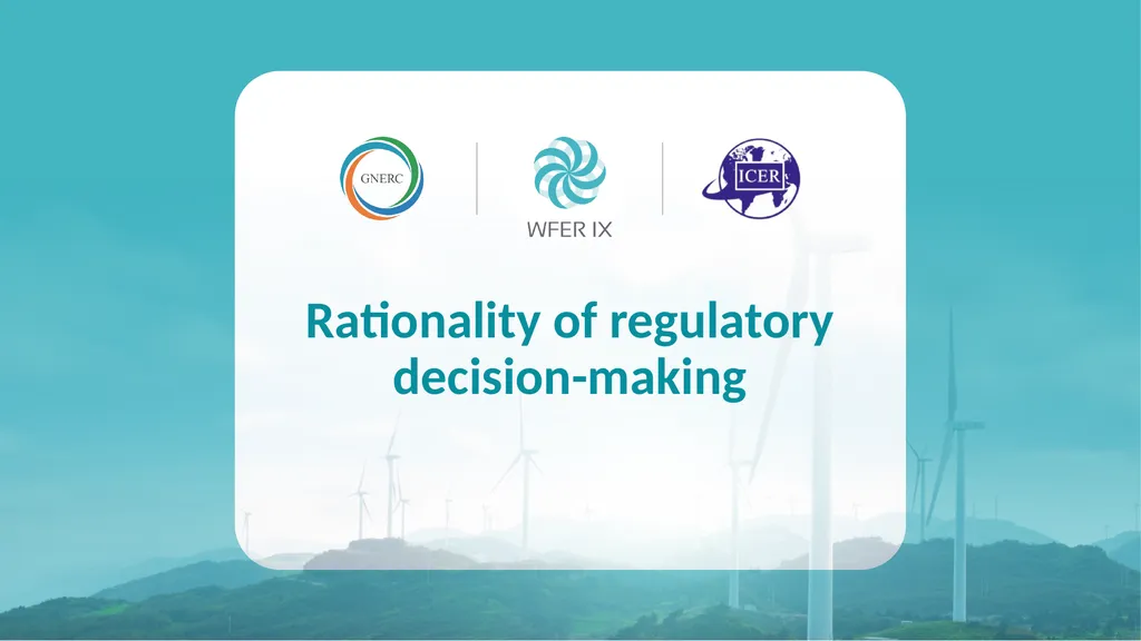 Rationality and Effectiveness in Regulation Luis - slide 3 of 15