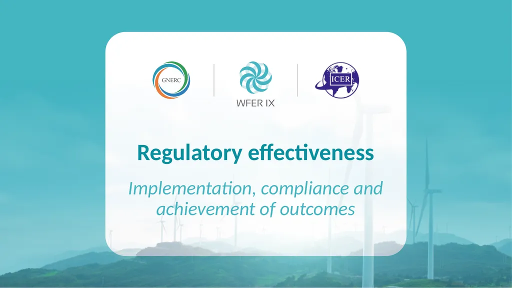 Rationality and Effectiveness in Regulation Luis - slide 8 of 15