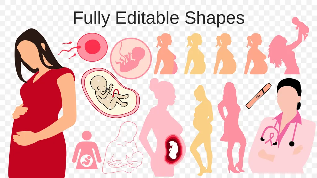Free Pregnant Care PPT Templates - slide 44 of 48