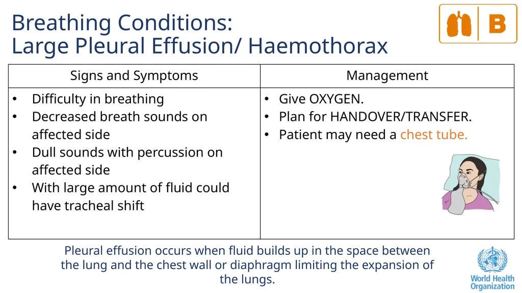 The ABCDE and SAMPLE History Approach Basic - slide 39 of 69