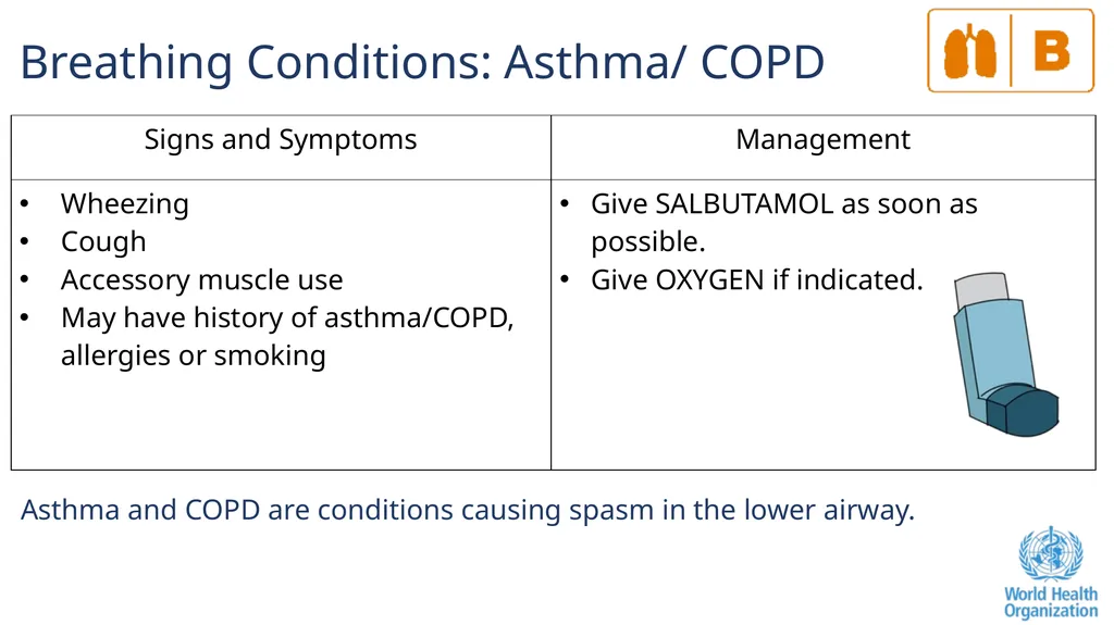 The ABCDE and SAMPLE History Approach Basic - slide 38 of 69