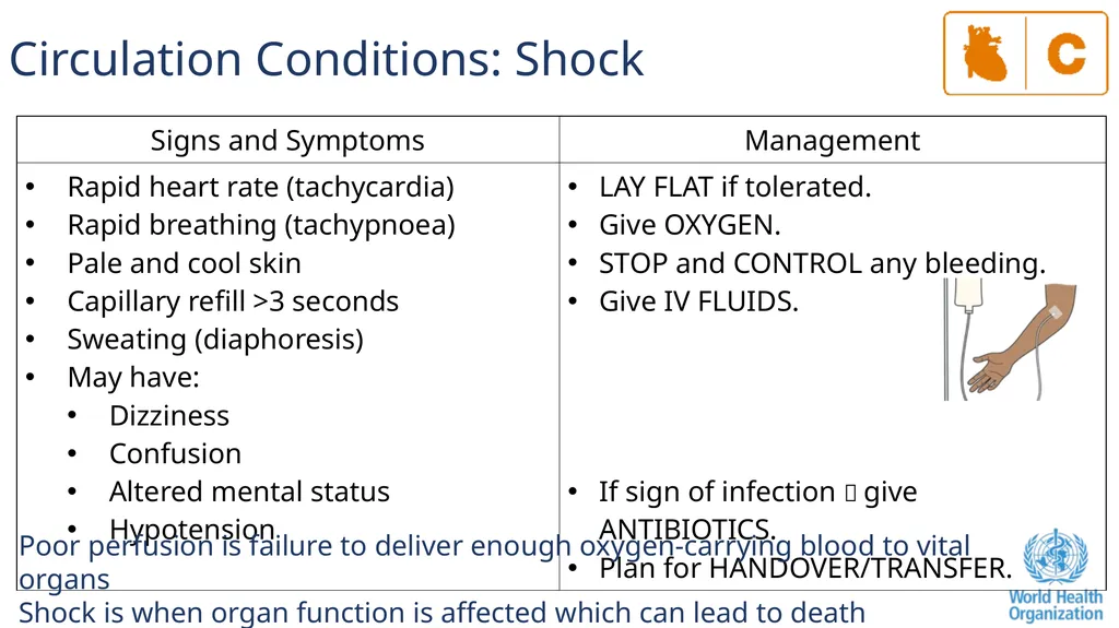The ABCDE and SAMPLE History Approach Basic - slide 41 of 69