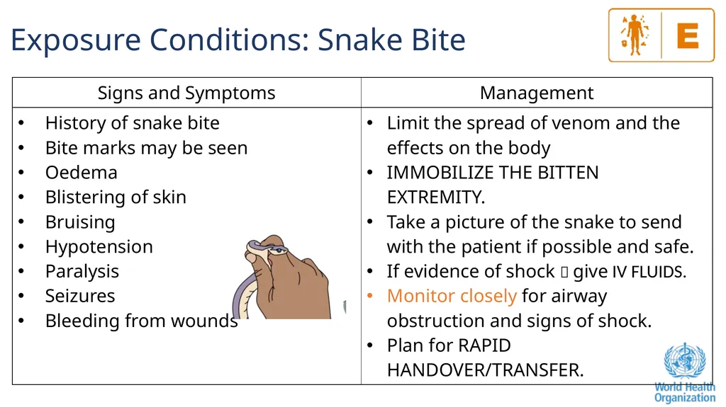 The ABCDE and SAMPLE History Approach Basic - slide 47 of 69