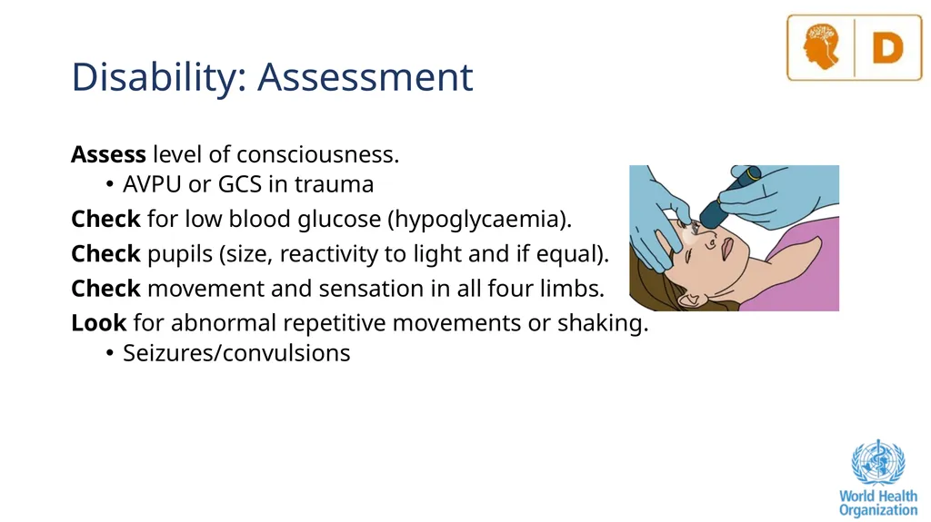 The ABCDE and SAMPLE History Approach Basic - slide 24 of 69