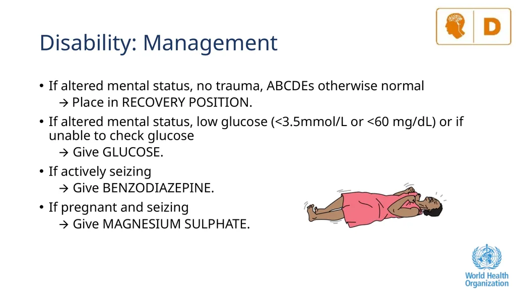 The ABCDE and SAMPLE History Approach Basic - slide 25 of 69