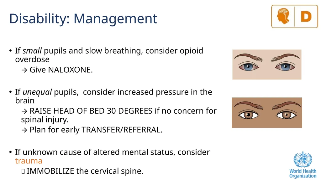 The ABCDE and SAMPLE History Approach Basic - slide 26 of 69