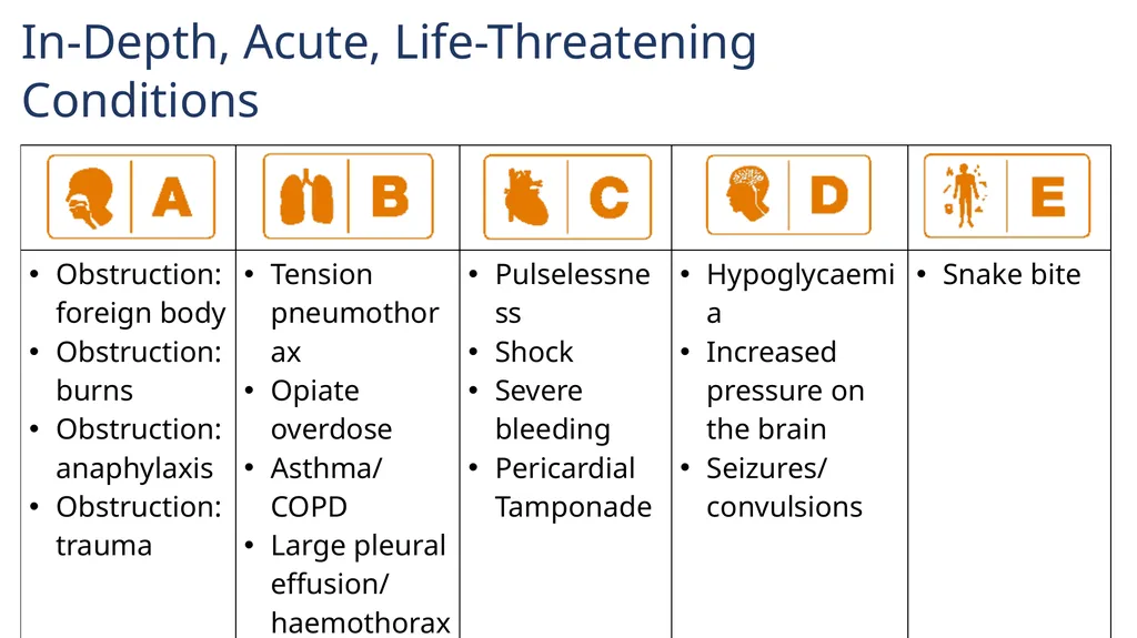 The ABCDE and SAMPLE History Approach Basic - slide 30 of 69