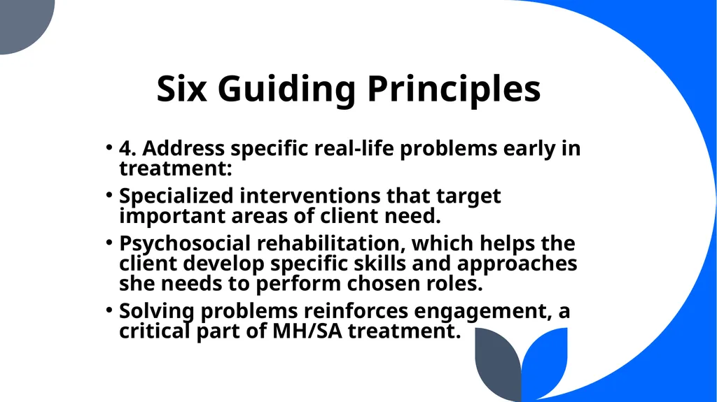 “Co-Occurring Disorders and Recovery Support” The - slide 28 of 41