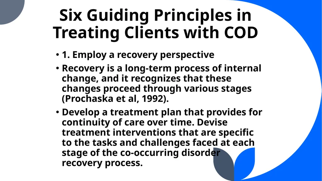 “Co-Occurring Disorders and Recovery Support” The - slide 25 of 41