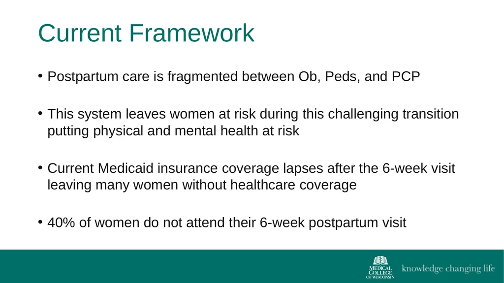 The 4th Trimester: Postpartum Care for Primary - slide 4 of 40