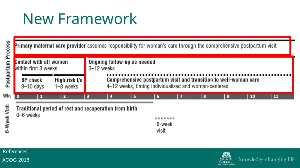 The 4th Trimester: Postpartum Care for Primary - slide 8 of 40