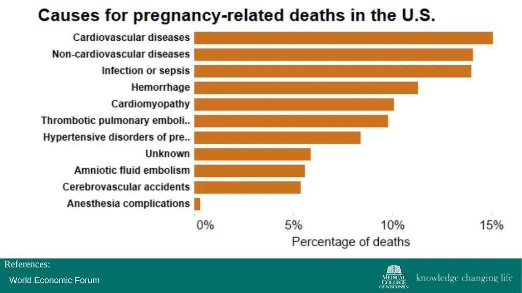 The 4th Trimester: Postpartum Care for Primary - slide 7 of 40