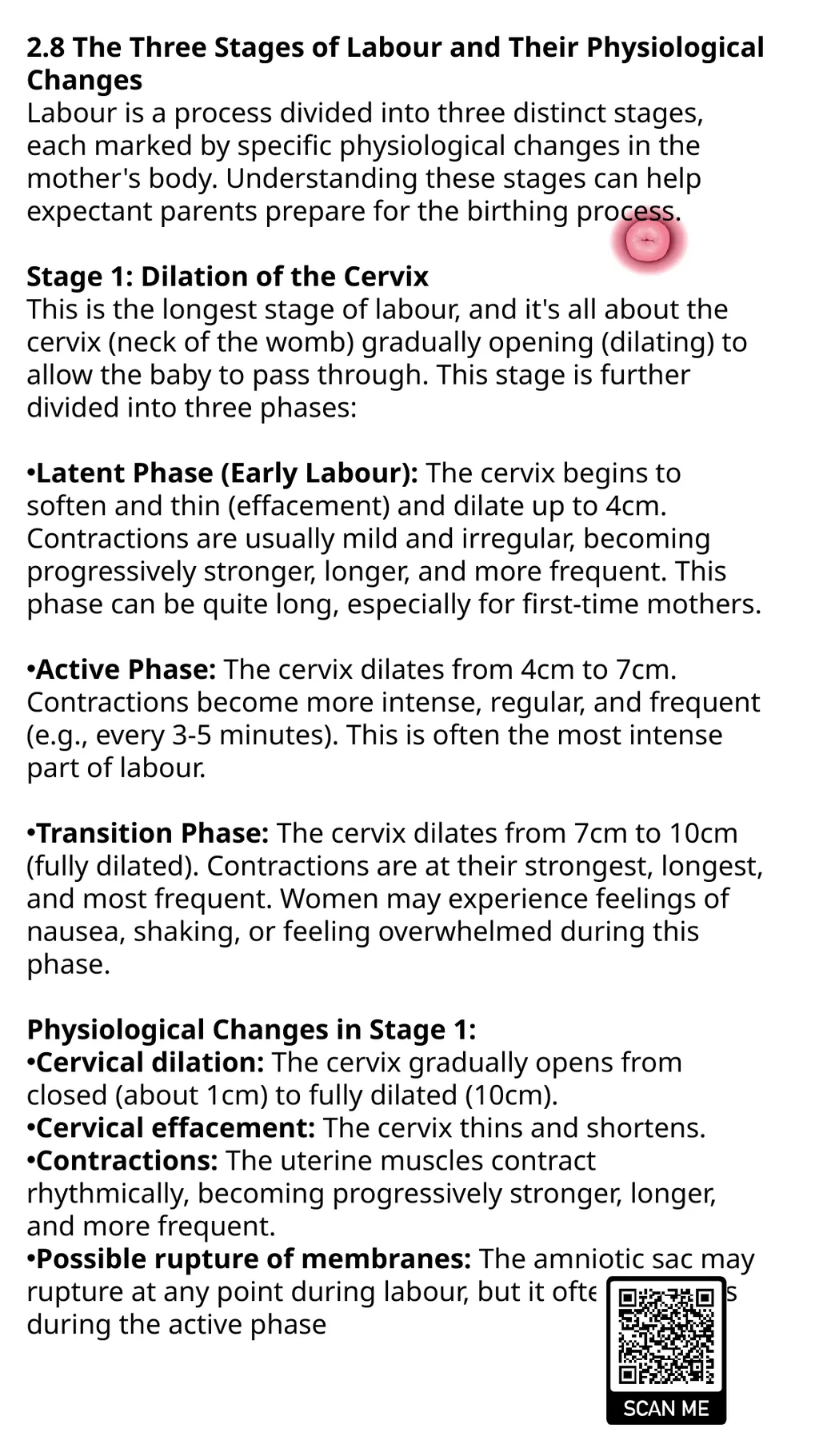 Child Development Revision Guide CNAT OCR TA2 - slide 39 of 63