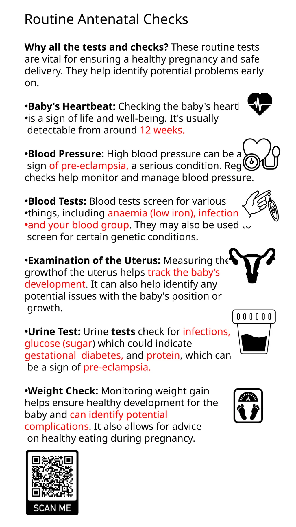 Child Development Revision Guide CNAT OCR TA2 - slide 7 of 63