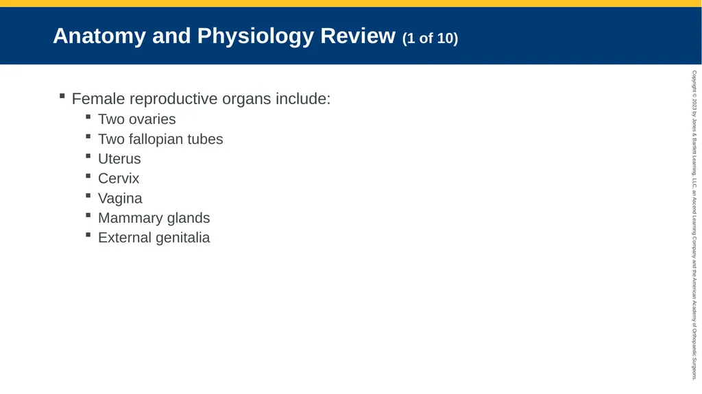 Obstetrics CHAPTER 42 Introduction Pregnancy is - slide 4 of 182